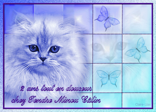 Merci Claire et Lilas :)