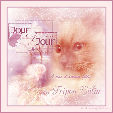 Merci encore Lisa ^_^