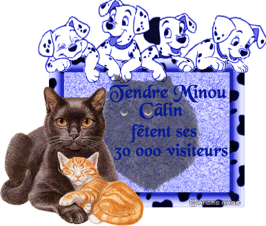 http://www.creationsambre.fr.tc